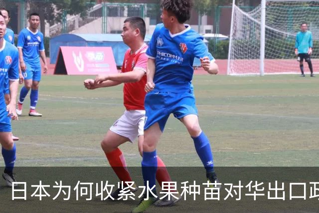 日本为何收紧水果种苗对华出口政策？背后故事不止是贸易冲突
